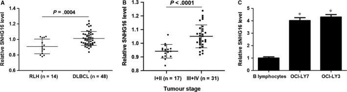 https://cdn.ncbi.nlm.nih.gov/pmc/blobs/732c/6815839/159a0a286810/JCMM-23-7395-g001.jpg