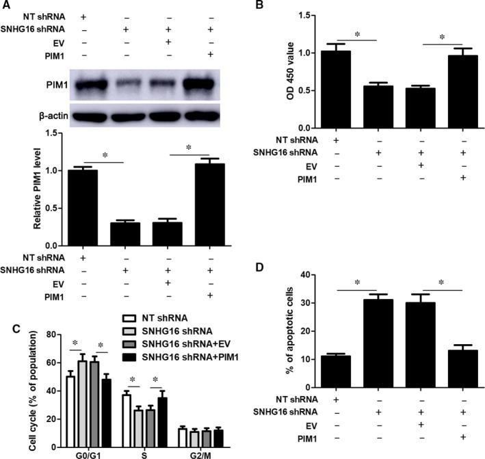 https://cdn.ncbi.nlm.nih.gov/pmc/blobs/732c/6815839/b239bf27a537/JCMM-23-7395-g006.jpg
