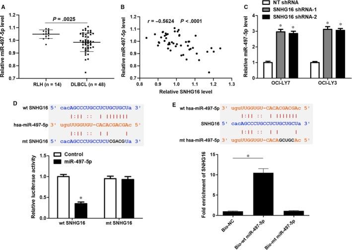 https://cdn.ncbi.nlm.nih.gov/pmc/blobs/732c/6815839/babe6fced1ca/JCMM-23-7395-g004.jpg