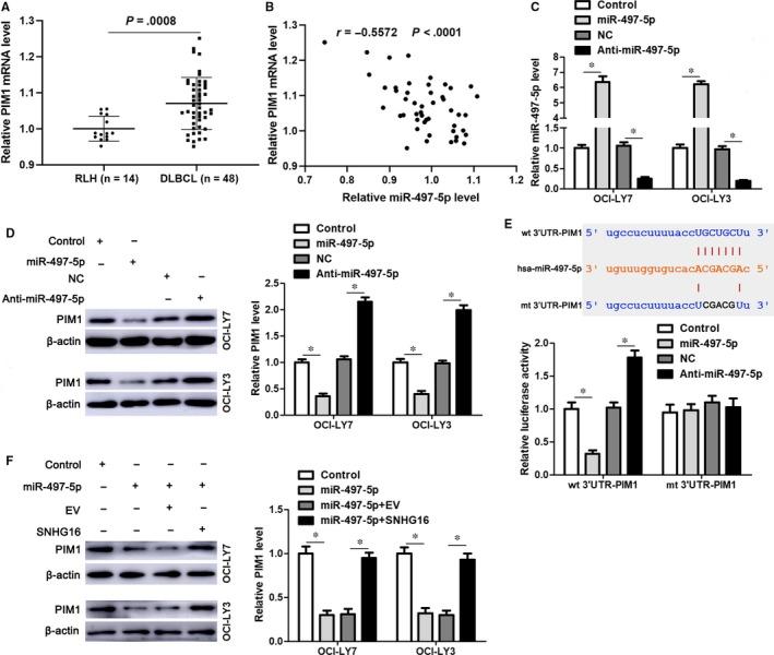 https://cdn.ncbi.nlm.nih.gov/pmc/blobs/732c/6815839/e71c66a1da3b/JCMM-23-7395-g005.jpg