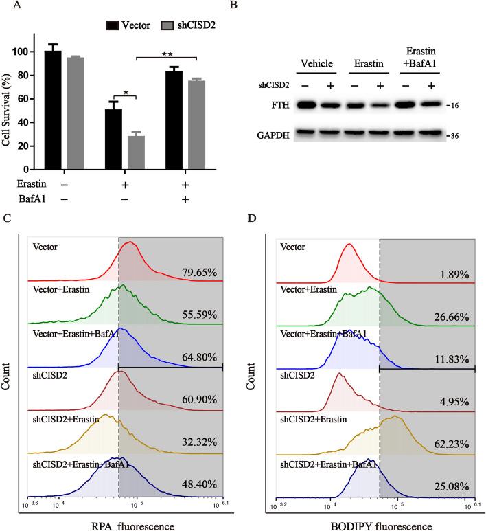 https://cdn.ncbi.nlm.nih.gov/pmc/blobs/732d/9523958/8fd5552ee793/11658_2022_383_Fig3_HTML.jpg