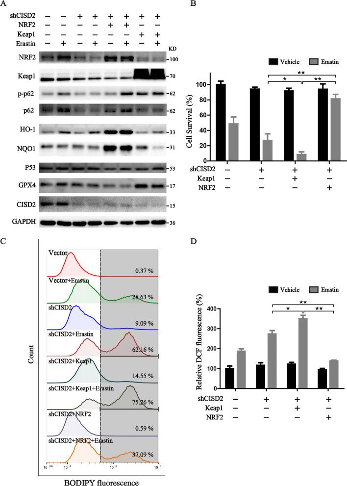 https://cdn.ncbi.nlm.nih.gov/pmc/blobs/732d/9523958/feed5c3209bc/11658_2022_383_Fig4_HTML.jpg