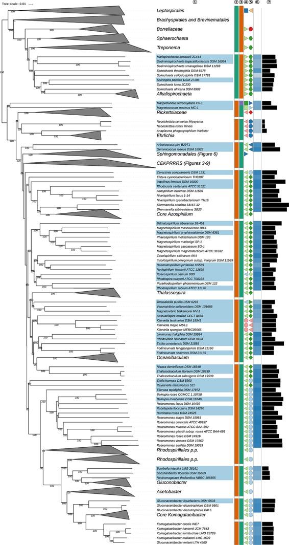 https://cdn.ncbi.nlm.nih.gov/pmc/blobs/732e/7179689/1927c4e4c08f/fmicb-11-00468-g002.jpg
