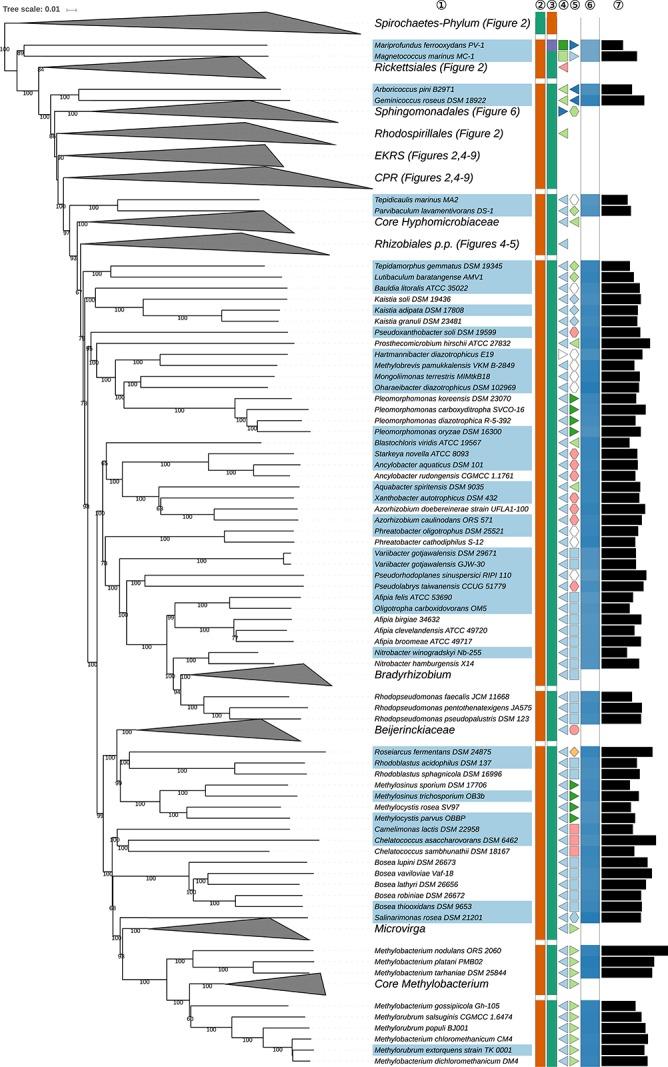 https://cdn.ncbi.nlm.nih.gov/pmc/blobs/732e/7179689/878feeb91671/fmicb-11-00468-g003.jpg