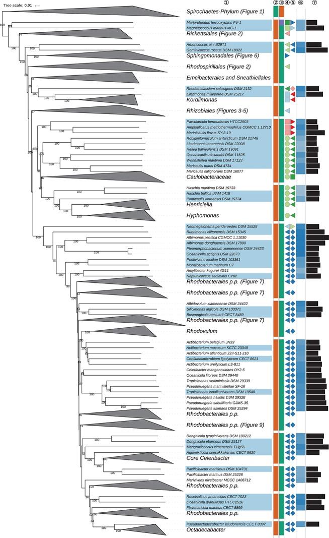 https://cdn.ncbi.nlm.nih.gov/pmc/blobs/732e/7179689/e4313874a093/fmicb-11-00468-g008.jpg