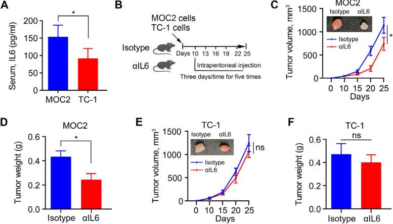 https://cdn.ncbi.nlm.nih.gov/pmc/blobs/732f/10929116/1f4a1b992a9a/13046_2024_3002_Fig4_HTML.jpg