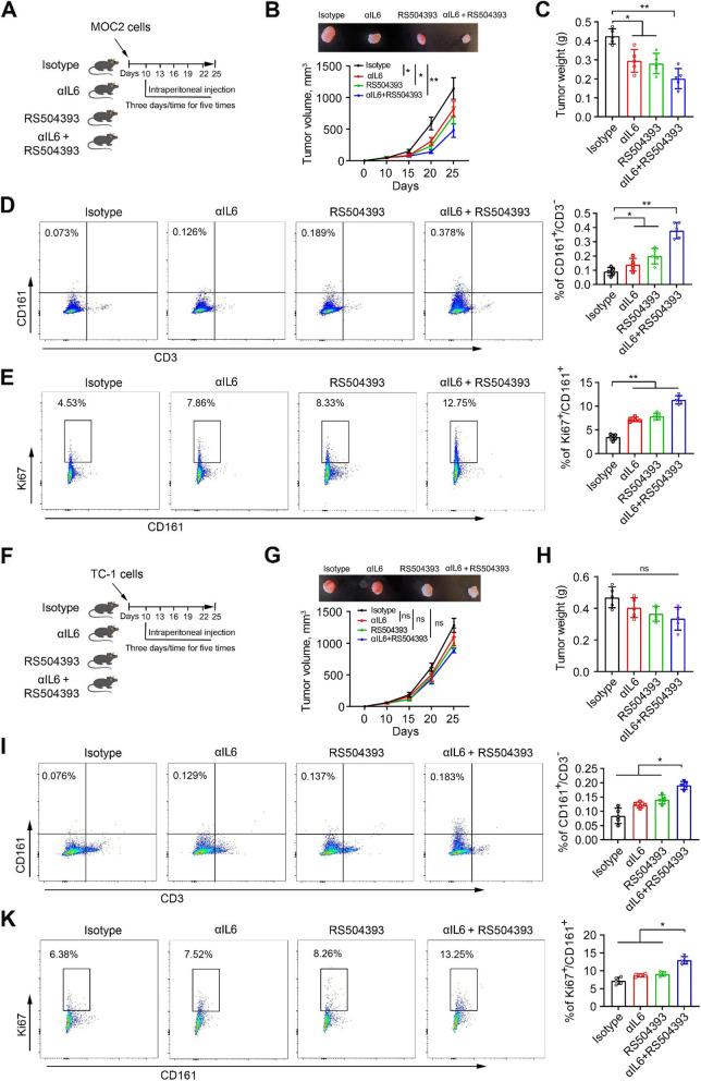 https://cdn.ncbi.nlm.nih.gov/pmc/blobs/732f/10929116/362289cd0d1b/13046_2024_3002_Fig6_HTML.jpg
