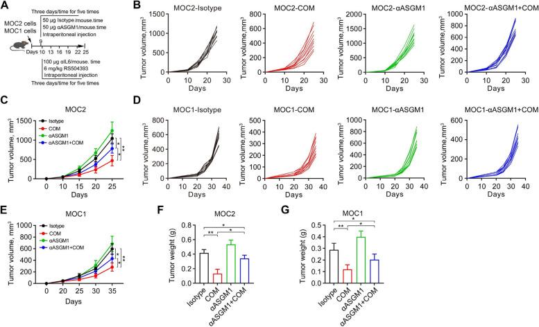 https://cdn.ncbi.nlm.nih.gov/pmc/blobs/732f/10929116/98fe046aedce/13046_2024_3002_Fig7_HTML.jpg