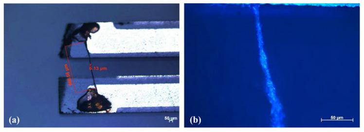https://cdn.ncbi.nlm.nih.gov/pmc/blobs/732f/9268163/0ad1e317d21c/molecules-27-04320-g001.jpg