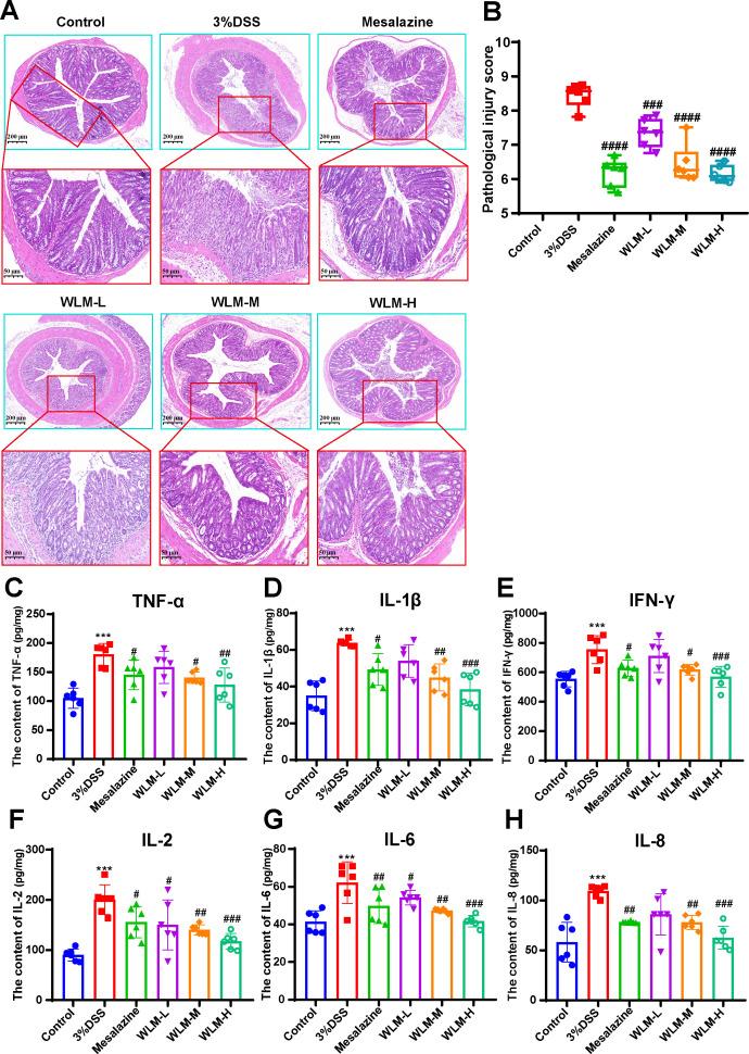 https://cdn.ncbi.nlm.nih.gov/pmc/blobs/7330/11518848/103fedf78bac/fcimb-14-1397735-g002.jpg