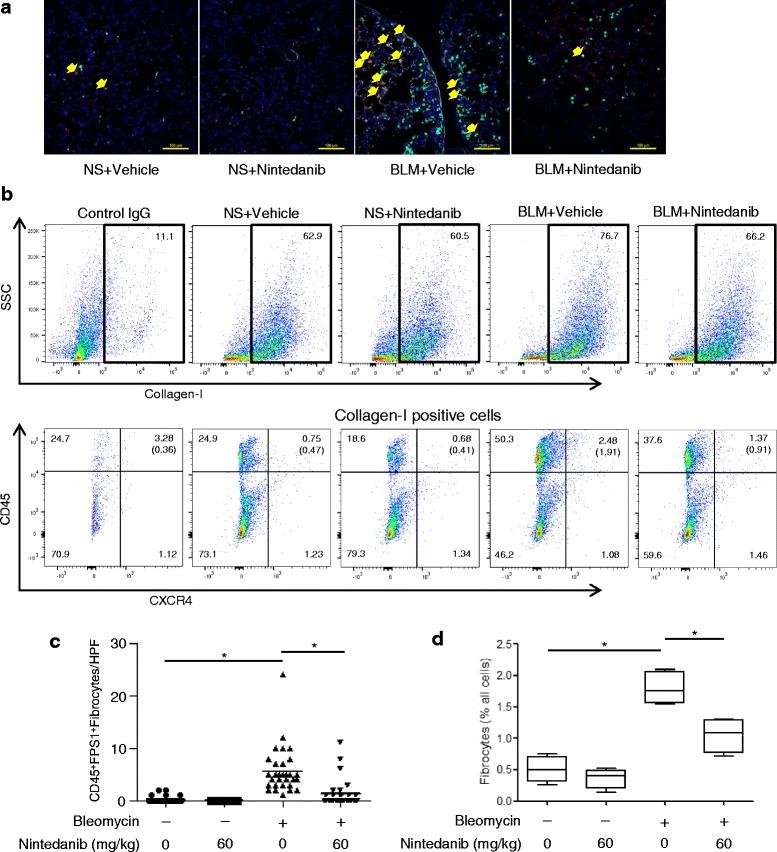 https://cdn.ncbi.nlm.nih.gov/pmc/blobs/7331/5603061/1379412f8d60/12931_2017_654_Fig7_HTML.jpg