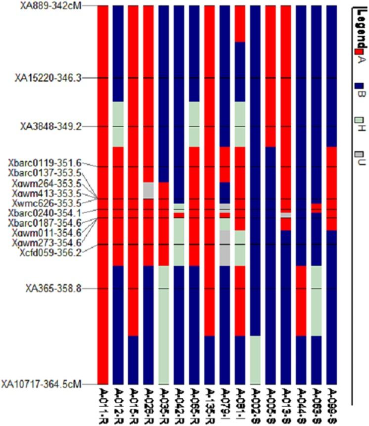 https://cdn.ncbi.nlm.nih.gov/pmc/blobs/7333/5438115/7ecf157a674c/pone.0177898.g006.jpg