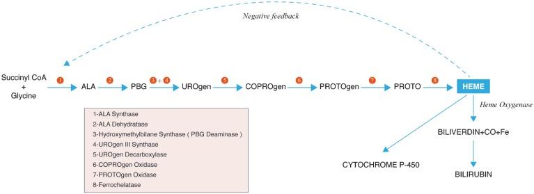 https://cdn.ncbi.nlm.nih.gov/pmc/blobs/7334/4542079/934fc40a1472/JCTH-3-017-g001.jpg