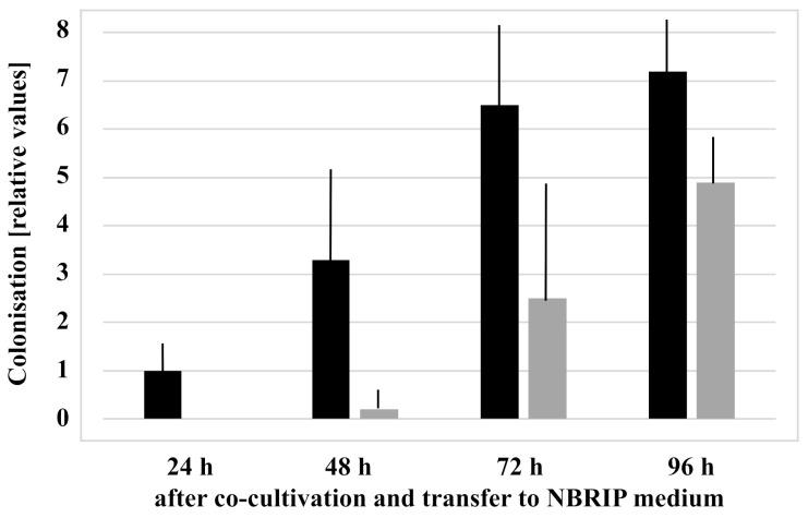 https://cdn.ncbi.nlm.nih.gov/pmc/blobs/7335/8227074/90f8b566ebee/microorganisms-09-01246-g003.jpg