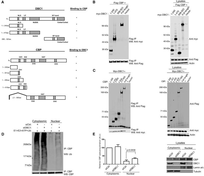 https://cdn.ncbi.nlm.nih.gov/pmc/blobs/7337/6478392/4e2bb231c0f8/nihms-1524449-f0004.jpg