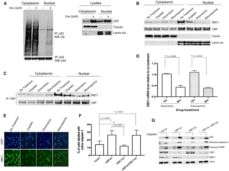 https://cdn.ncbi.nlm.nih.gov/pmc/blobs/7337/6478392/b88840c4c44f/nihms-1524449-f0007.jpg