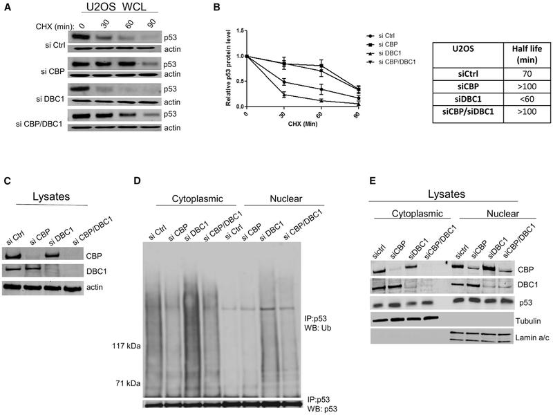 https://cdn.ncbi.nlm.nih.gov/pmc/blobs/7337/6478392/ff72d86ac549/nihms-1524449-f0005.jpg