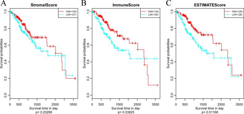 https://cdn.ncbi.nlm.nih.gov/pmc/blobs/7337/7450998/21c740f538ee/peerj-08-9627-g004.jpg