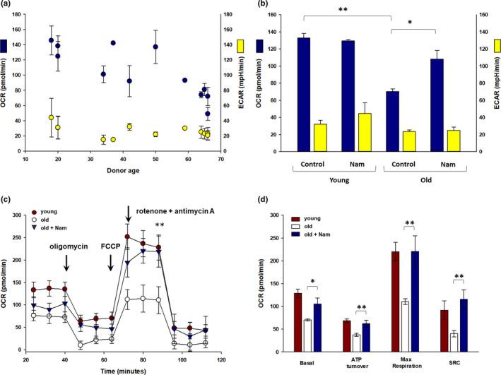 https://cdn.ncbi.nlm.nih.gov/pmc/blobs/7337/7576238/82c87f3e195c/ACEL-19-e13248-g004.jpg