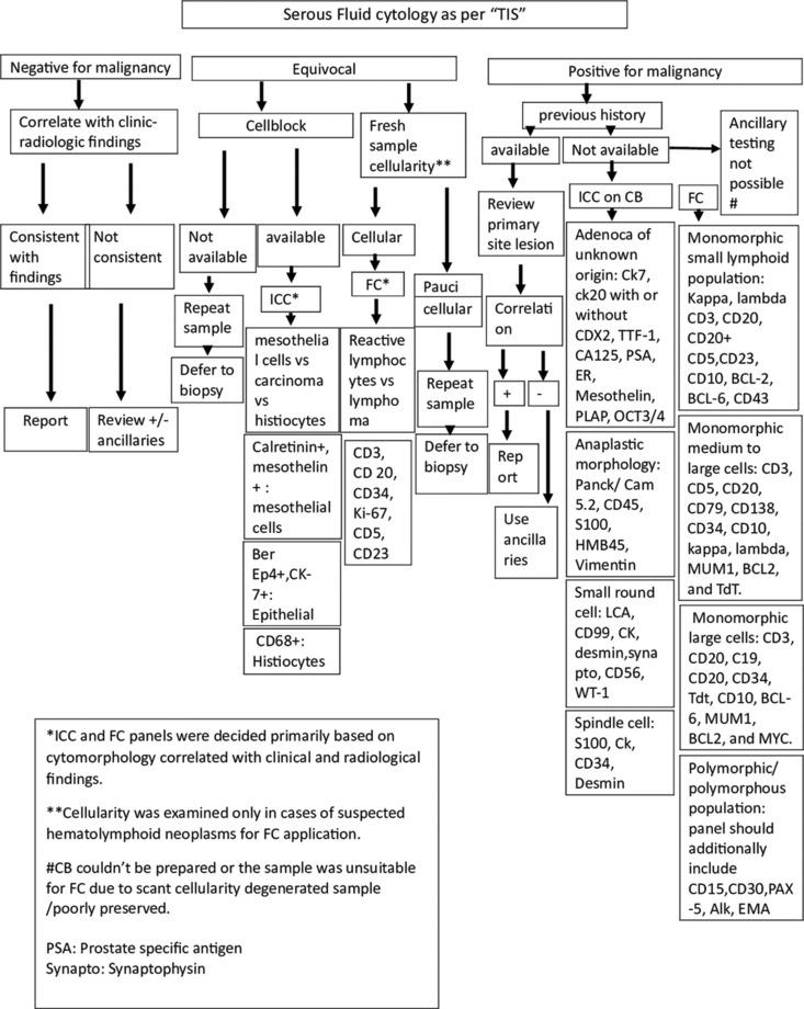 https://cdn.ncbi.nlm.nih.gov/pmc/blobs/733a/11108034/8cdb4172aae6/JCytol-41-96-g001.jpg