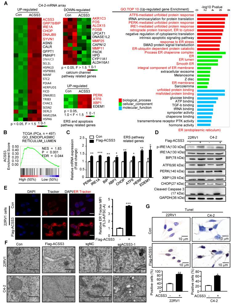 https://cdn.ncbi.nlm.nih.gov/pmc/blobs/733c/7738848/5fe5745d8b7c/thnov11p0841g003.jpg