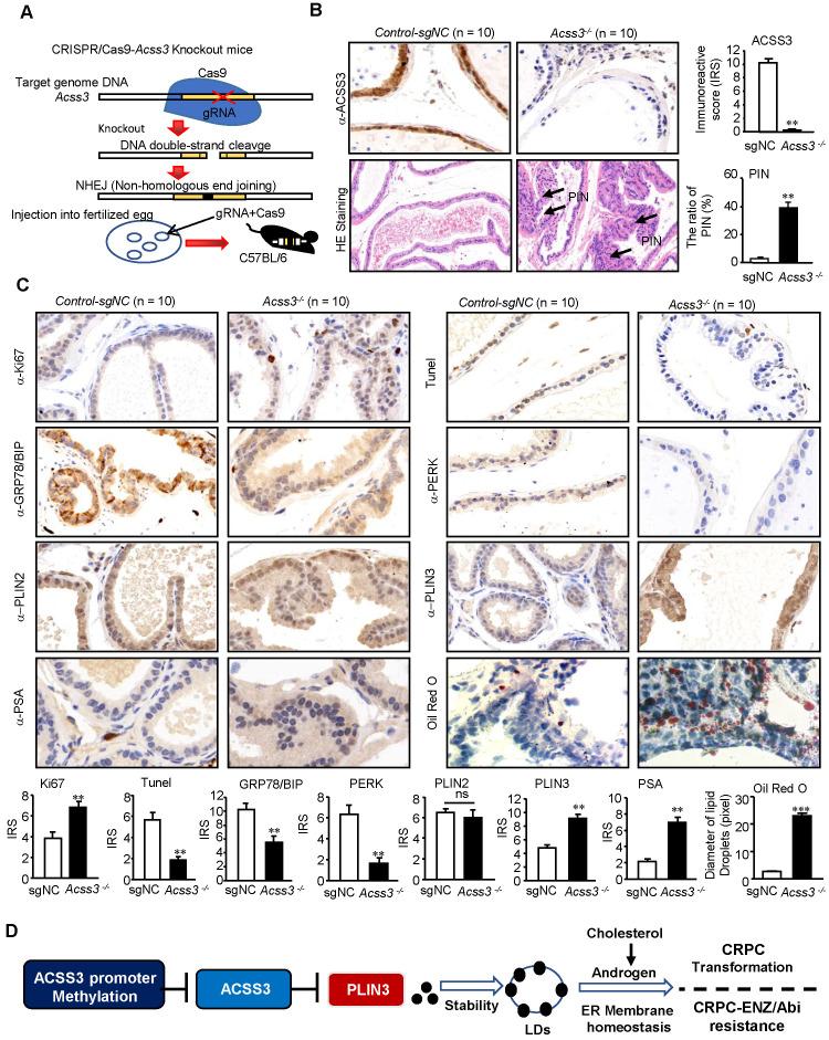 https://cdn.ncbi.nlm.nih.gov/pmc/blobs/733c/7738848/a7758f4511e6/thnov11p0841g007.jpg