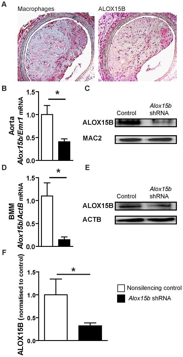 https://cdn.ncbi.nlm.nih.gov/pmc/blobs/733e/3422220/7436e0db8225/pone.0043142.g002.jpg