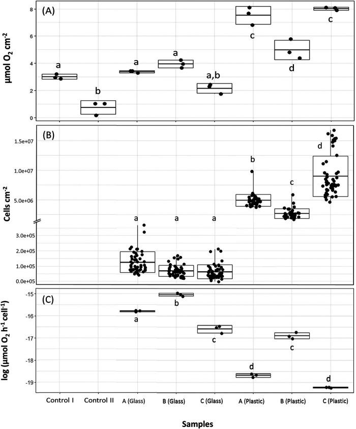 https://cdn.ncbi.nlm.nih.gov/pmc/blobs/7341/8941889/177e30749ca2/msystems.01415-21-f006.jpg