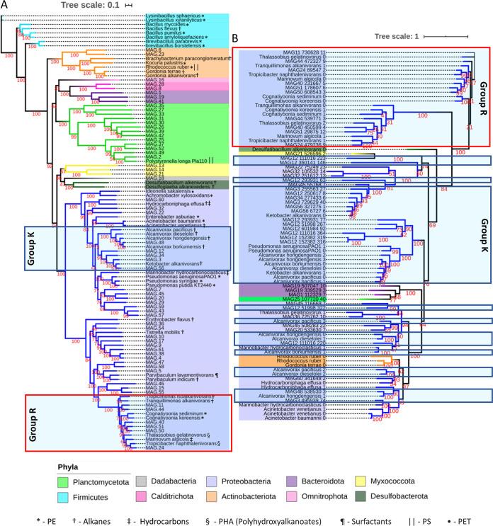 https://cdn.ncbi.nlm.nih.gov/pmc/blobs/7341/8941889/eaf7fb648948/msystems.01415-21-f005.jpg