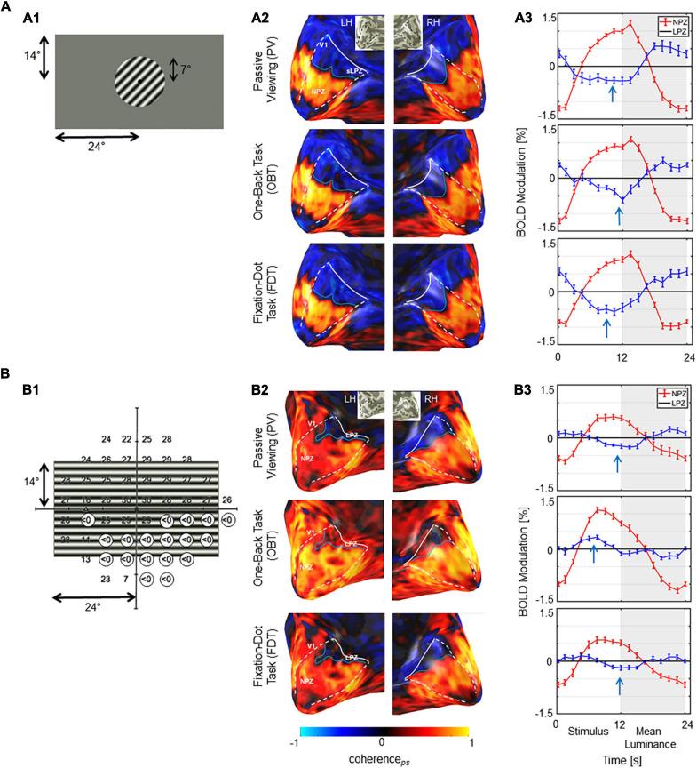 https://cdn.ncbi.nlm.nih.gov/pmc/blobs/7343/8350780/4cfeb5213fb7/fnins-15-653632-g003.jpg