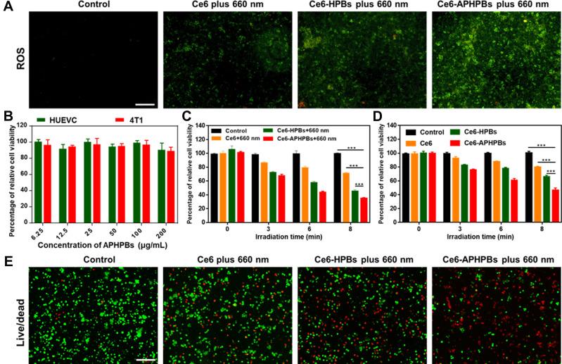 https://cdn.ncbi.nlm.nih.gov/pmc/blobs/7344/8964450/1d5ddf10f0b4/IJN-17-1397-g0003.jpg
