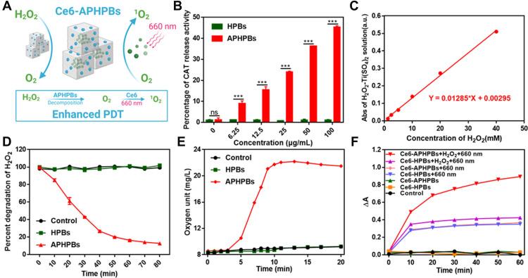 https://cdn.ncbi.nlm.nih.gov/pmc/blobs/7344/8964450/4f2988776efc/IJN-17-1397-g0002.jpg