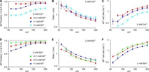https://cdn.ncbi.nlm.nih.gov/pmc/blobs/7345/2483332/91645efc6254/jgp1320239f07.jpg