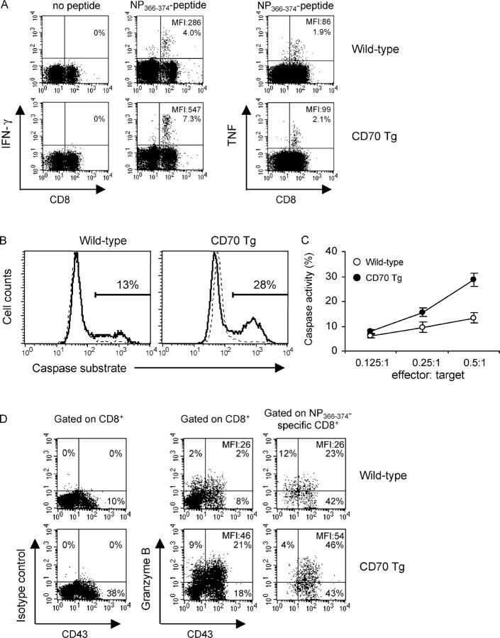 https://cdn.ncbi.nlm.nih.gov/pmc/blobs/7346/2211777/25eeb05b27b8/20031111f5.jpg