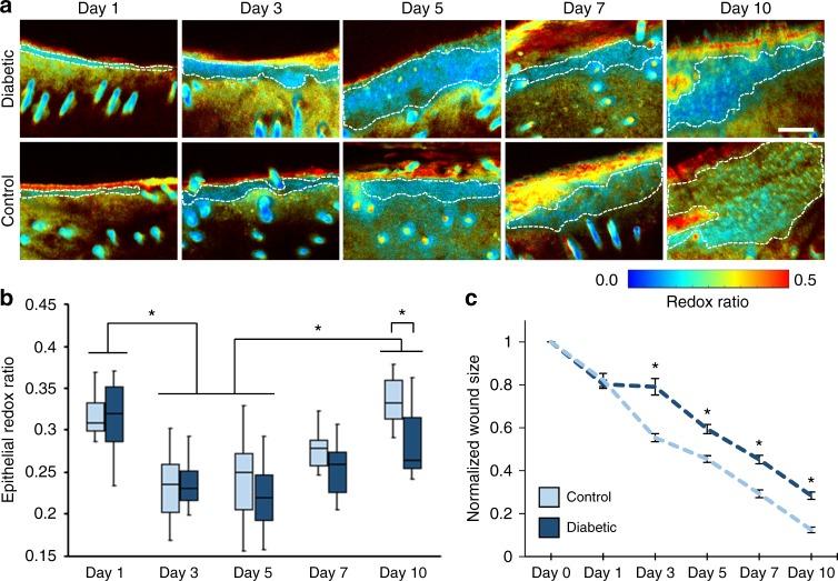 https://cdn.ncbi.nlm.nih.gov/pmc/blobs/7346/6242983/83dde1ab697a/42003_2018_206_Fig2_HTML.jpg