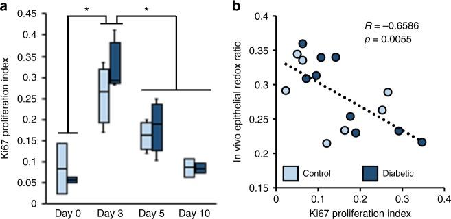 https://cdn.ncbi.nlm.nih.gov/pmc/blobs/7346/6242983/e7657beb2aca/42003_2018_206_Fig4_HTML.jpg