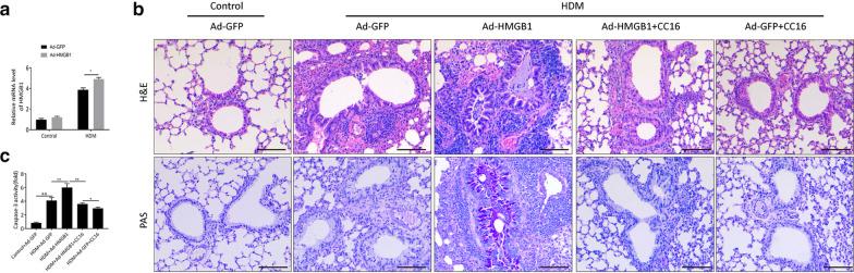 https://cdn.ncbi.nlm.nih.gov/pmc/blobs/7346/7863538/eb515316d003/10020_2021_277_Fig7_HTML.jpg
