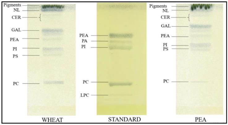 https://cdn.ncbi.nlm.nih.gov/pmc/blobs/7347/9370302/5db4586a8d27/plants-11-01955-g006.jpg