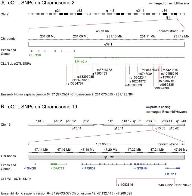 https://cdn.ncbi.nlm.nih.gov/pmc/blobs/7348/3250464/9640d704c5f2/pone.0029632.g002.jpg