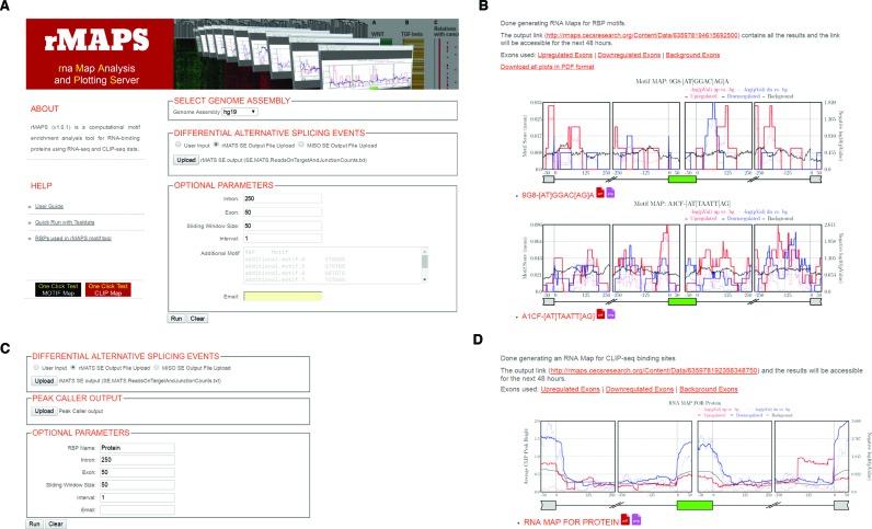 https://cdn.ncbi.nlm.nih.gov/pmc/blobs/734a/4987942/0d997a051cc1/gkw410fig3.jpg