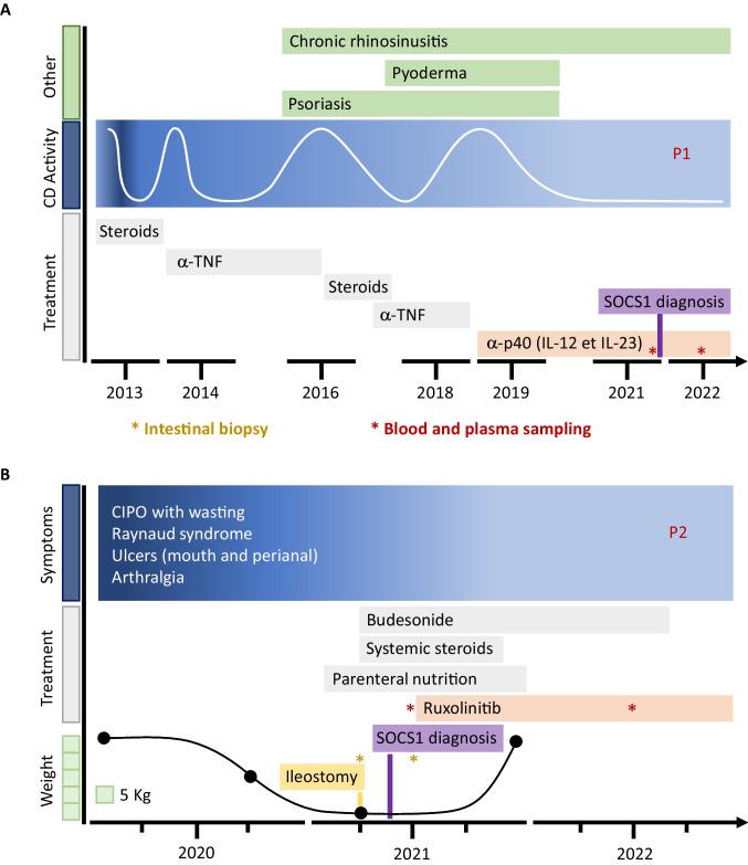 https://cdn.ncbi.nlm.nih.gov/pmc/blobs/734d/10354128/7bfa3d211cd9/10875_2023_1495_Fig1_HTML.jpg