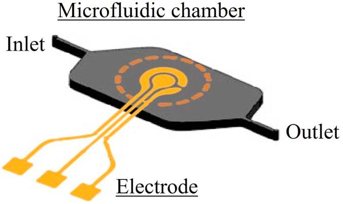 https://cdn.ncbi.nlm.nih.gov/pmc/blobs/734f/9860429/6086d88b9074/gr1.jpg