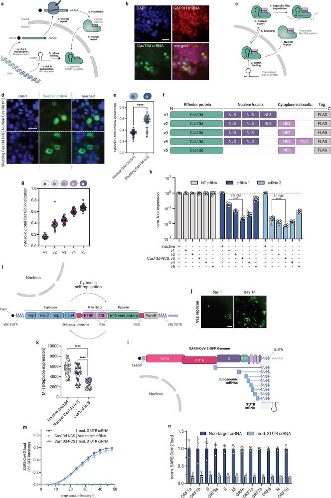 https://cdn.ncbi.nlm.nih.gov/pmc/blobs/7352/11015019/6158ea3581dc/41421_2024_672_Fig1_HTML.jpg