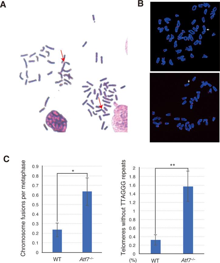 https://cdn.ncbi.nlm.nih.gov/pmc/blobs/7352/5961373/a0671ec3f2f4/gky155fig2.jpg