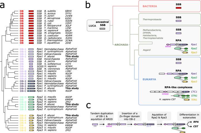 https://cdn.ncbi.nlm.nih.gov/pmc/blobs/7353/10122647/b5d0d1d022eb/41467_2023_38048_Fig6_HTML.jpg