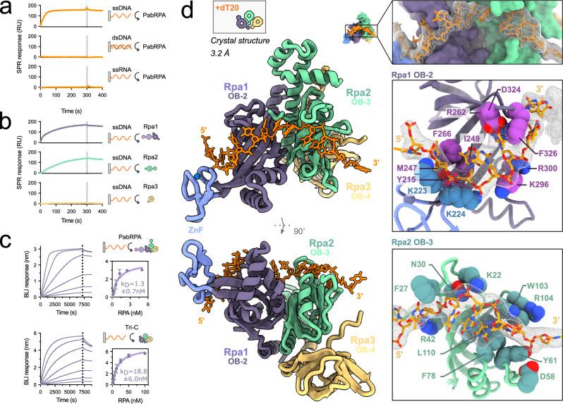 https://cdn.ncbi.nlm.nih.gov/pmc/blobs/7353/10122647/b8b67795ba43/41467_2023_38048_Fig2_HTML.jpg