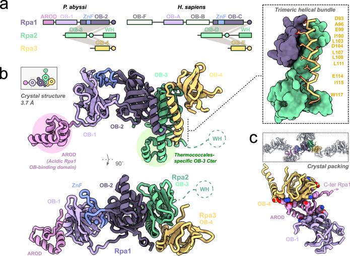 https://cdn.ncbi.nlm.nih.gov/pmc/blobs/7353/10122647/e8f5f52fc9f5/41467_2023_38048_Fig1_HTML.jpg