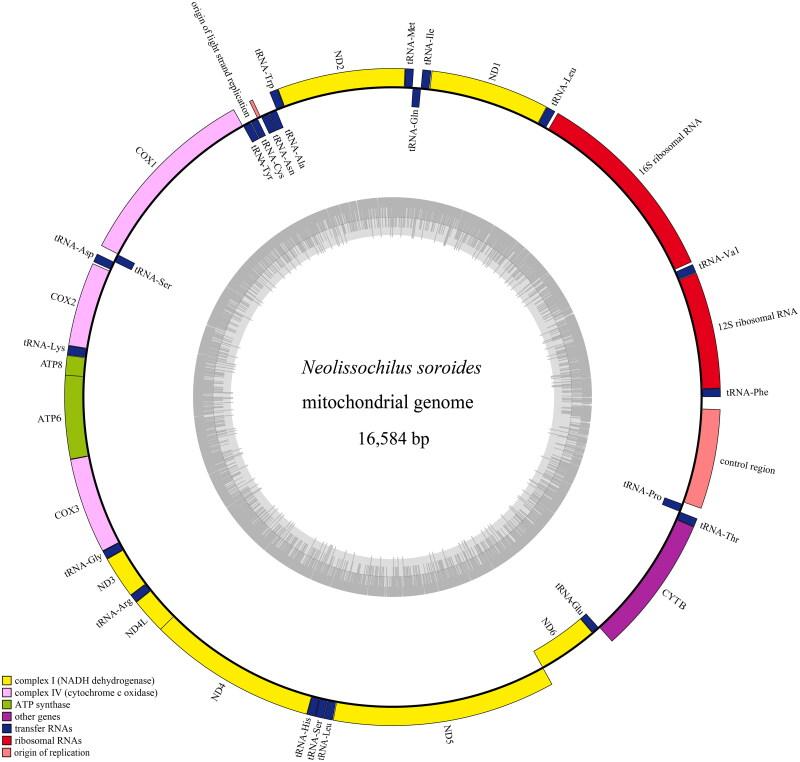 https://cdn.ncbi.nlm.nih.gov/pmc/blobs/7354/10769550/7540eff3f590/TMDN_A_2281032_F0002_C.jpg