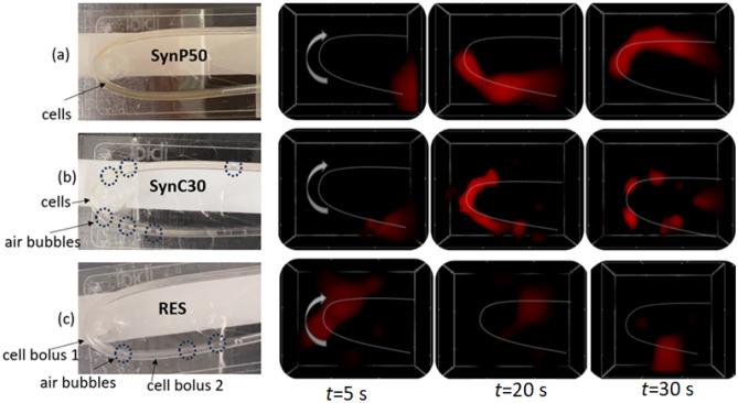 https://cdn.ncbi.nlm.nih.gov/pmc/blobs/7354/10879211/00a0f6b58ba8/41598_2024_54784_Fig4_HTML.jpg