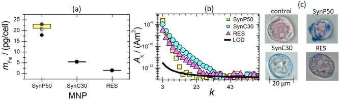 https://cdn.ncbi.nlm.nih.gov/pmc/blobs/7354/10879211/10c2a88615c6/41598_2024_54784_Fig2_HTML.jpg